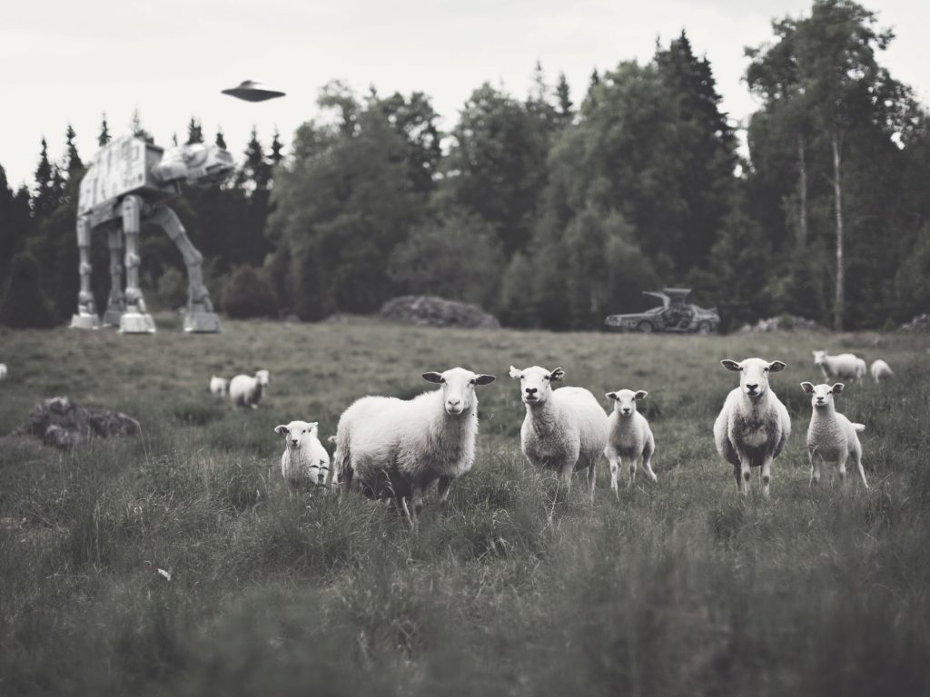 skynets
